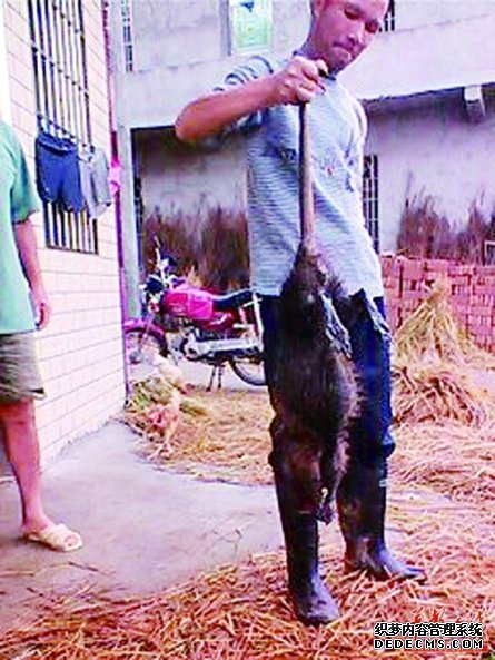 늾���|����ҧͿ��