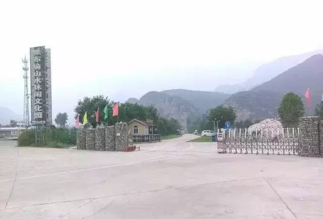 ��ɽ���ɹ�������c