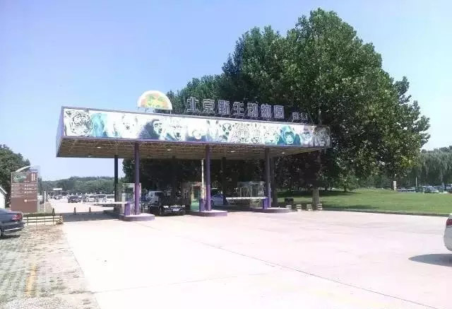 ���d�^Ұ������@��������c