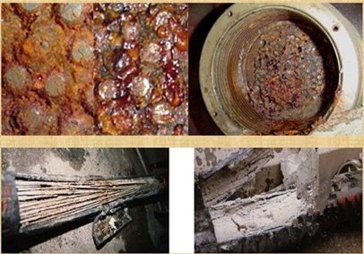 �D1�������^���P�g