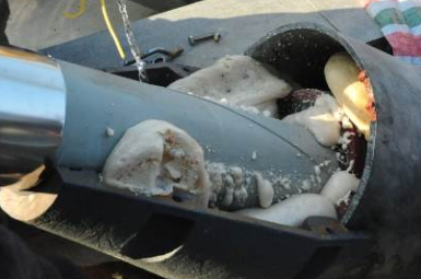 �D3���������¶˰l���z��䲻����