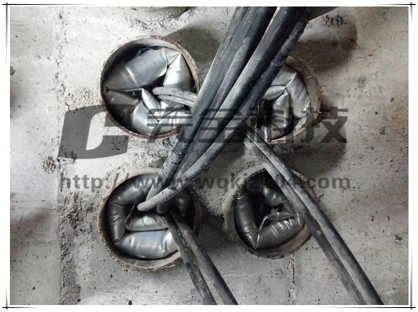 �������Ĺ��̑�(y��ng)��