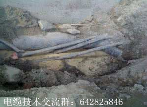 變電站跳閘電纜故障