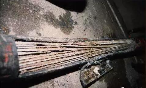 �������g��λ