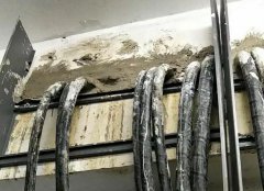 電纜管道封堵反反復復何時休