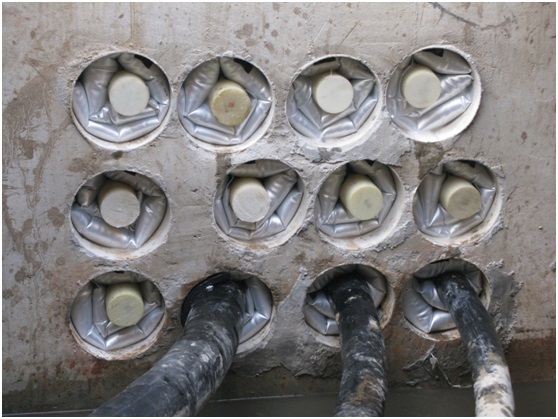 ����걩���쿹�����(n��i)����������ܵ�����Ү�(d��ng)�ʲ�׌